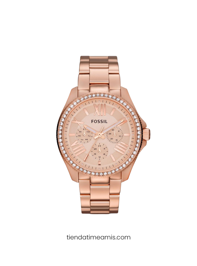 Reloj Fossil Cecile AM4483